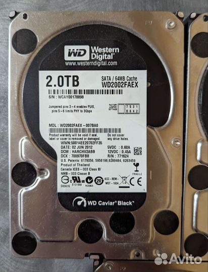 Western digital 2TB