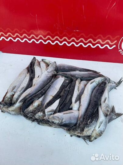 Сельдь с/м оптом