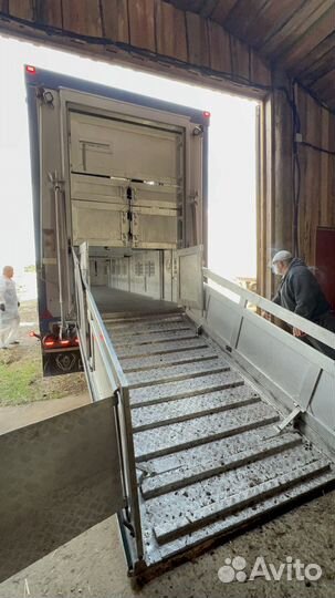 Перевозка Скота