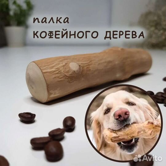 Кофейная палочка для собак / Игрушка для собак
