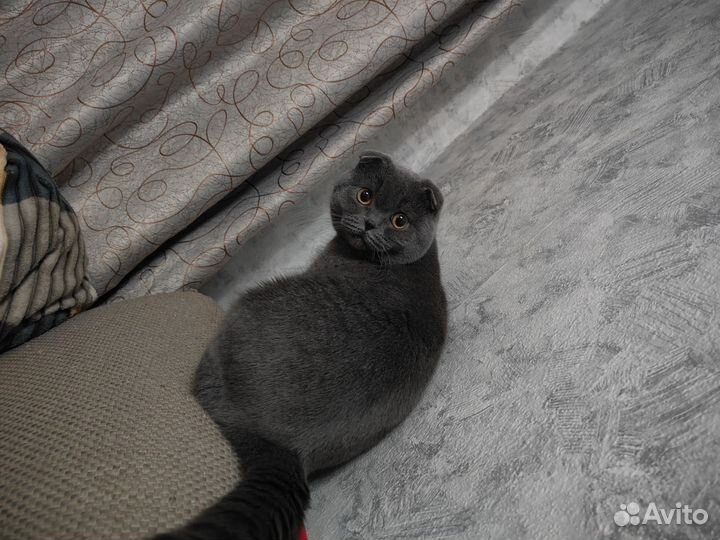 Угловой диван