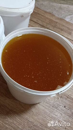 Свежий мед 2023 оптом