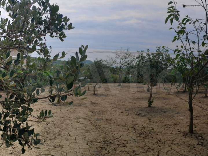 Участок 8 сот. (ИЖС)