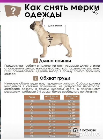 Утепленный комбинезон дождевик для собак ForMyDogs