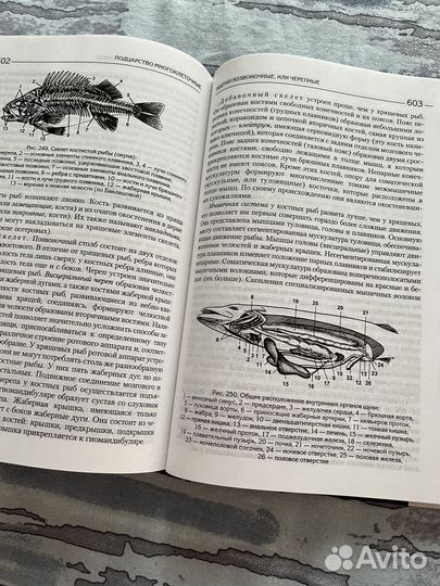 Биология для поступающих в вузы