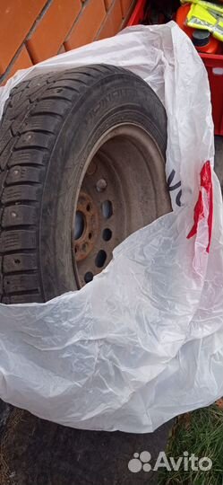 Constancy LY166 195/65 R15