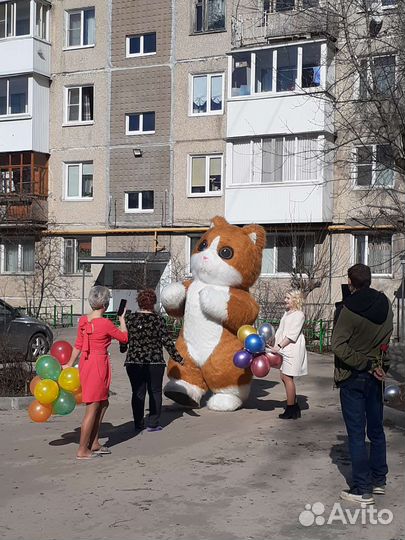 Медведь, Котик, Белый Мишка, Кот, Буба, Аниматоры