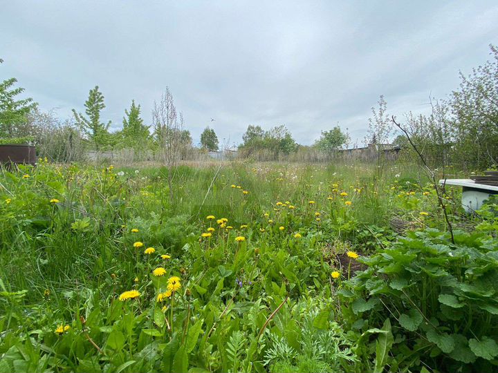 Дом 25 м² на участке 15 сот.