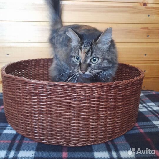 Лежанка для собак и кошек