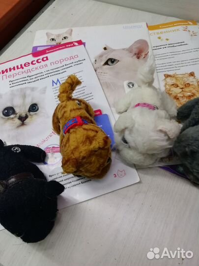 Журналы 