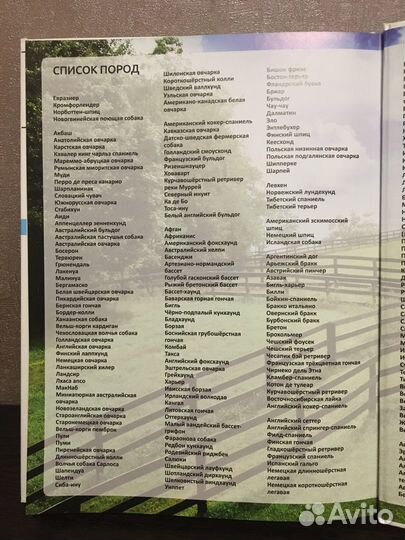 Энциклопедия о собаках