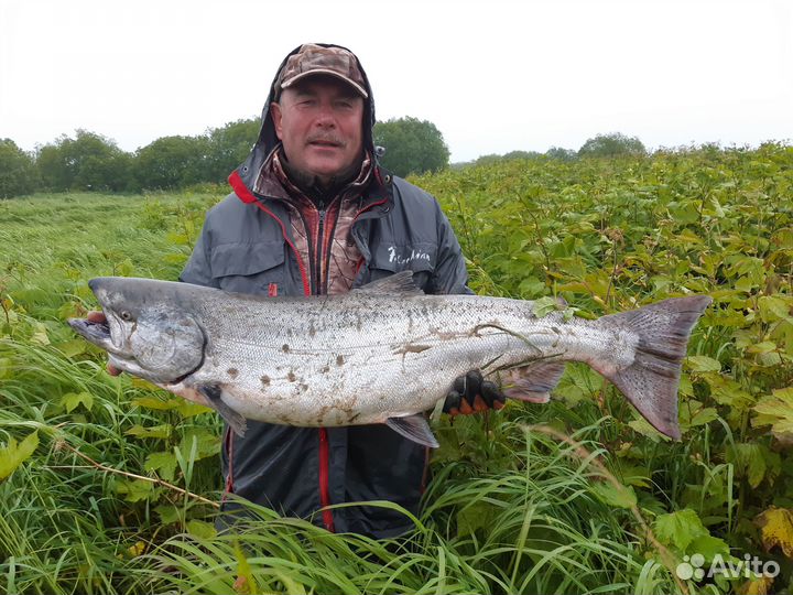 Рыбалка с гидом на Камчатке на Чавычу