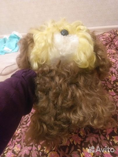 Собака СССР