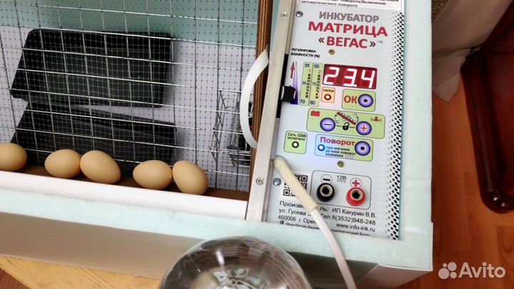 Инкубатор «Матрица вегас»