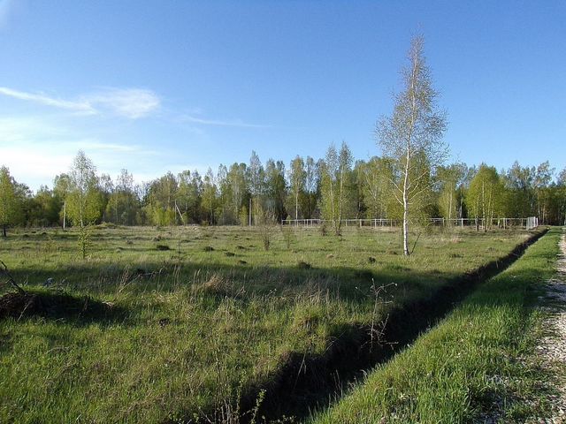 Участок 6 сот. (ИЖС)