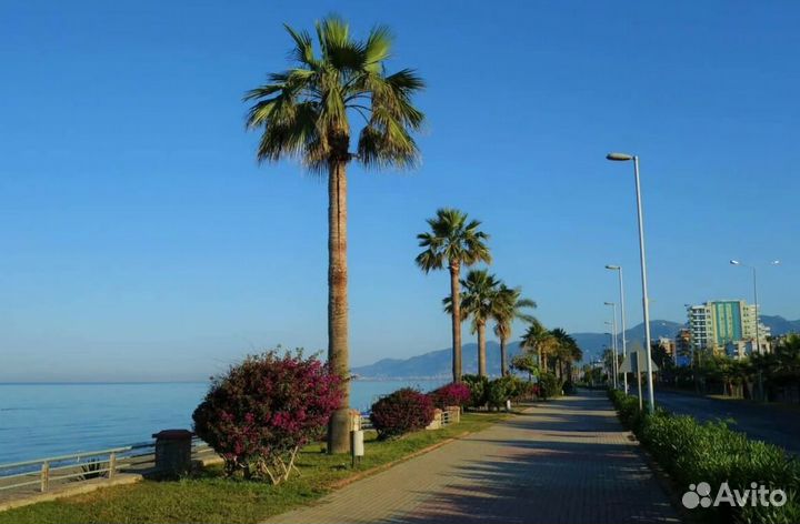 Путевка в г. Аланья, Турции на 6 нч. отель 4*