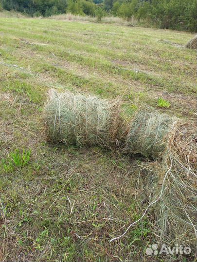 Сено в тюках