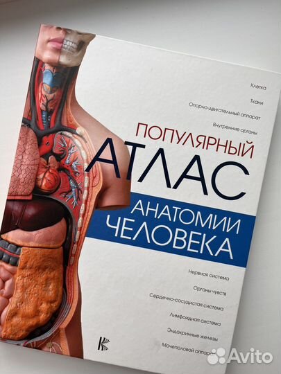 Атлас анатомии человека