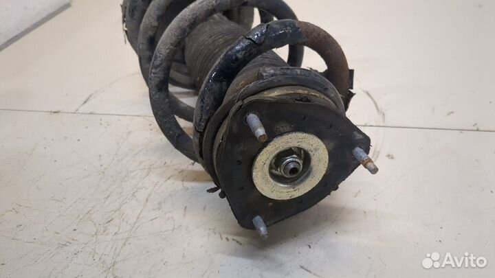 Амортизатор подвески Ford Transit, 2010