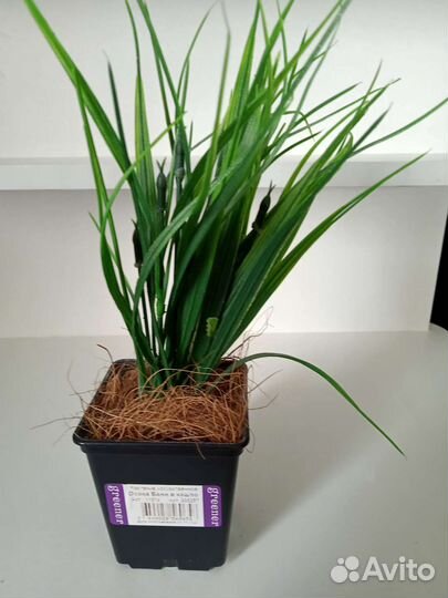 Искусственные цветы