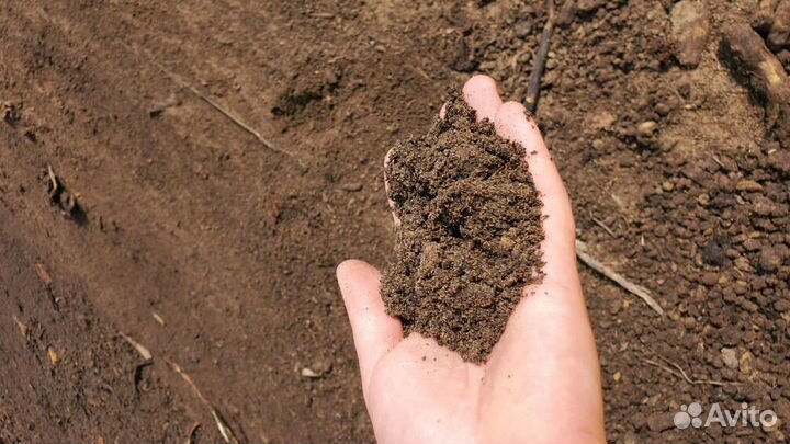 Торфогрунт