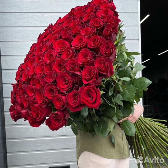 Метровые розы, красные розы букет, 101 роза
