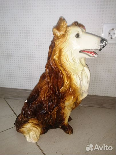 Собака копилка