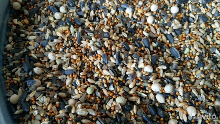 Корма для животных