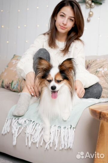 Услуги хендлера