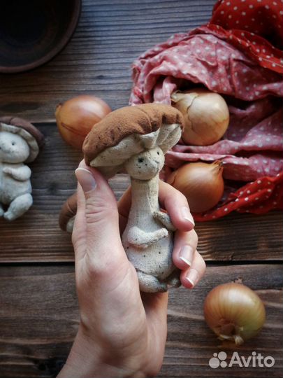 Гриб Тедди худой