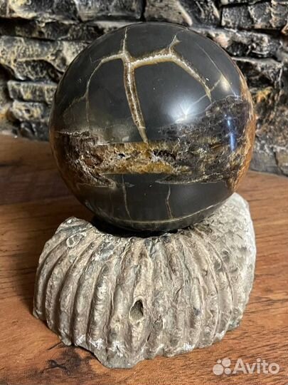 Шар Септарий на подставке из аммонита