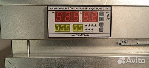 Инкубатор для яиц