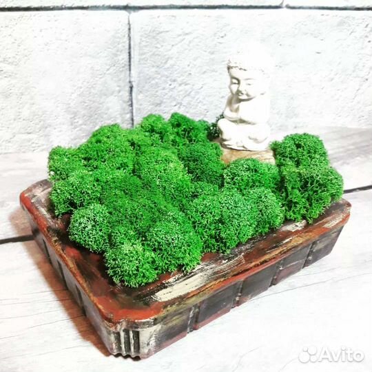 Декоративная композиция с стабилизированным мхом