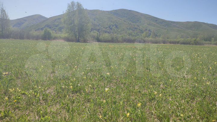 Участок 36 га (СНТ, ДНП)