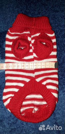 Одежда для собак