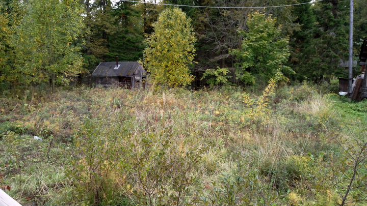 Дача 40 м² на участке 6 сот.