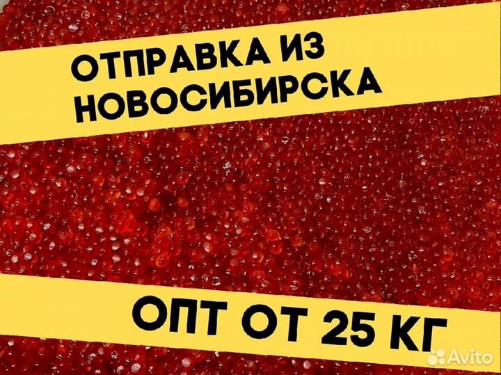 Красная икра нерки, июнь 2023