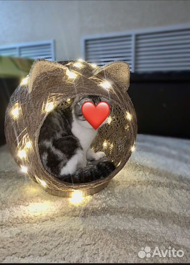 Домик для кошки