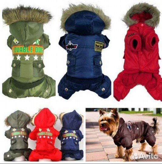 Одежда для собак и кошек с доставкой