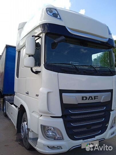 DAF XF 480, 2019