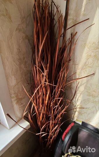 Икеа декоративный сухоцвет