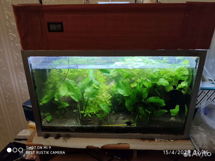 Аквариум 55-60 литров
