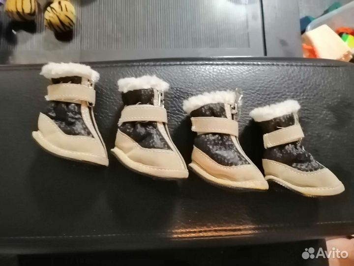 Обувь для маленьких собак