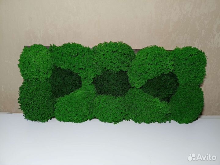 Картина (пано) из стабилизированного мха