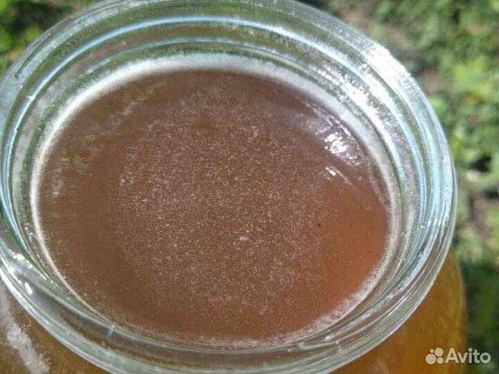 Мед липа банки 3 литра