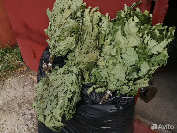 Веники для бани