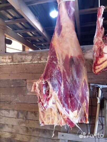 Мясо говядина