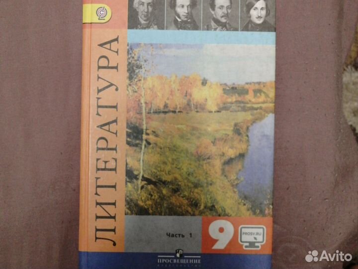 Учебник по литературе за 9 класс