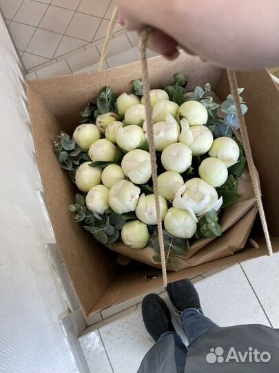 Пионы букет из пионов