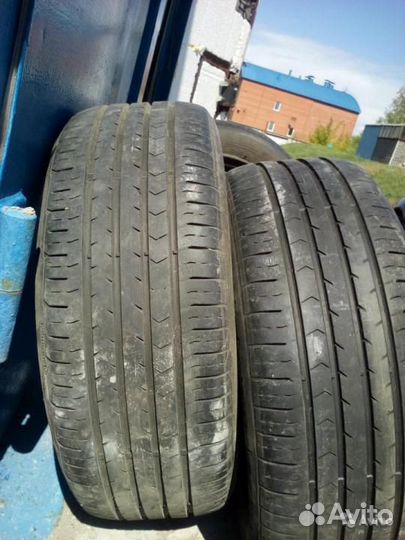 Continental ContiEcoContact 6 205/55 R16